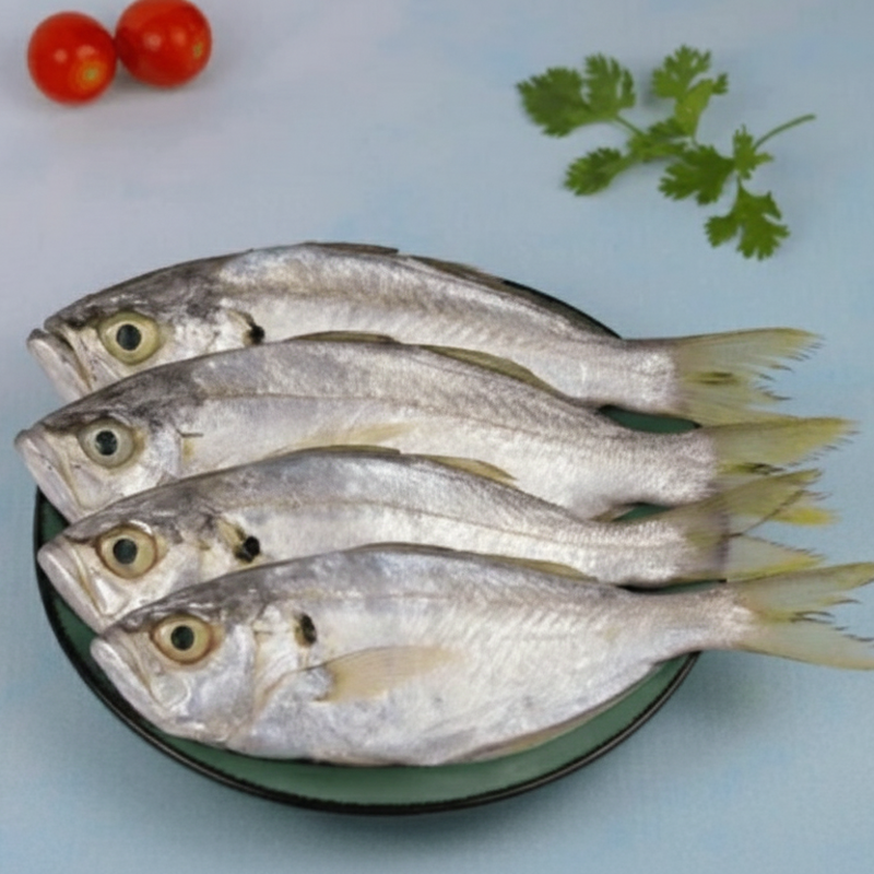 Parava / White fish (പരവ)