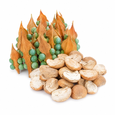 Dried Eenthu – Queen Sago Kernels